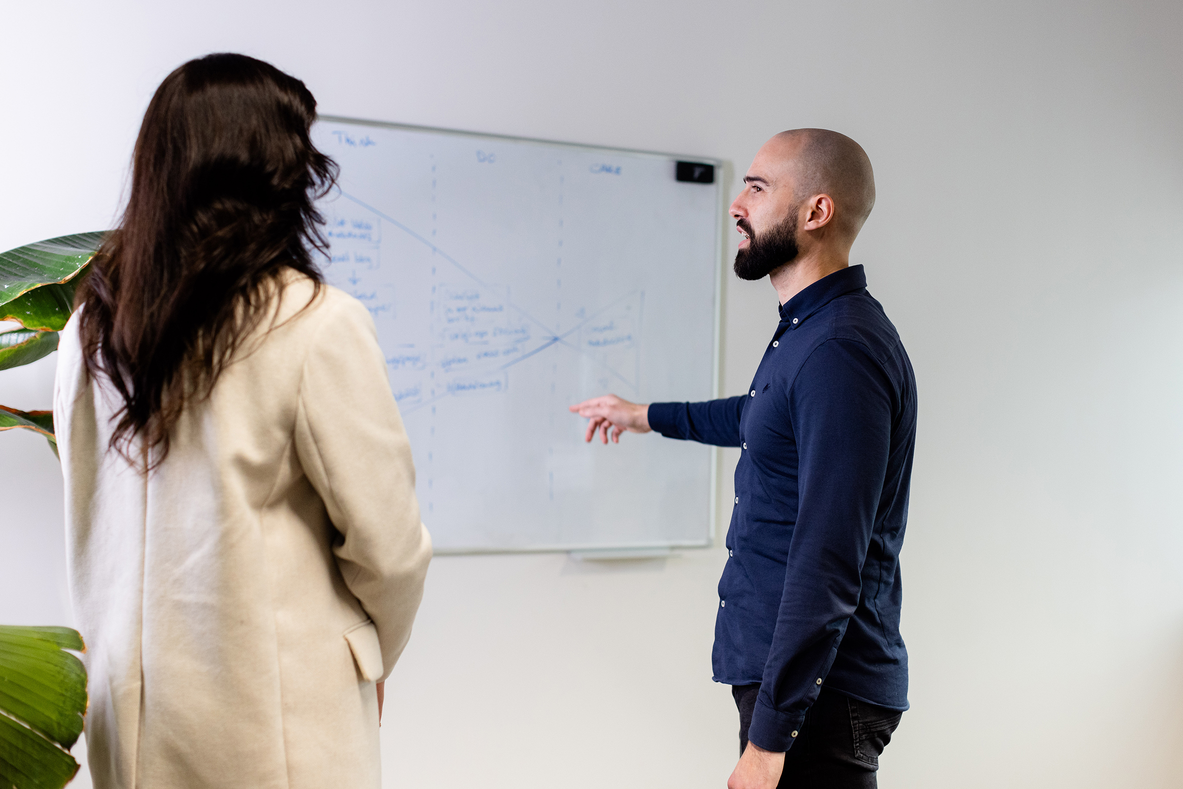 Business Development Consultant