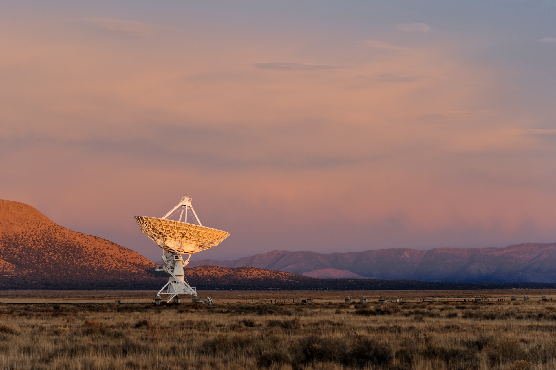 organische-social-media-marketing