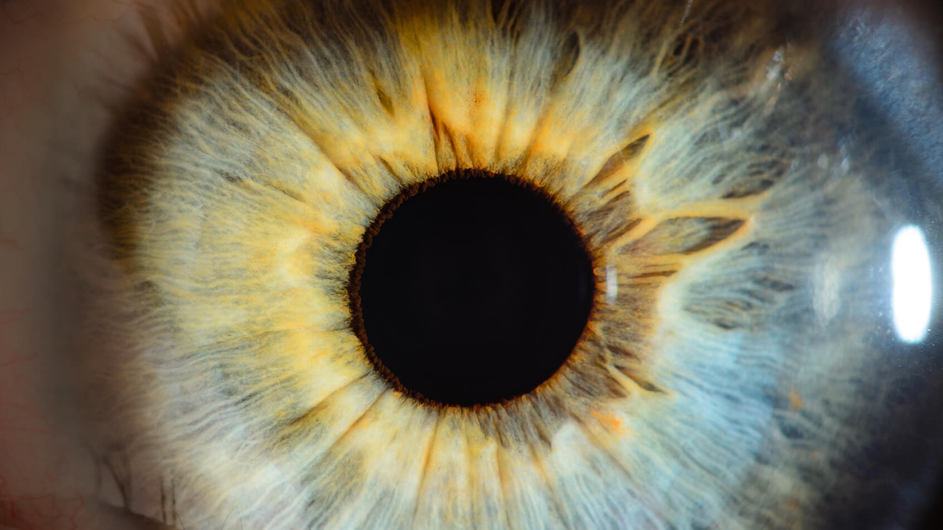 Challenges in Digital Experience