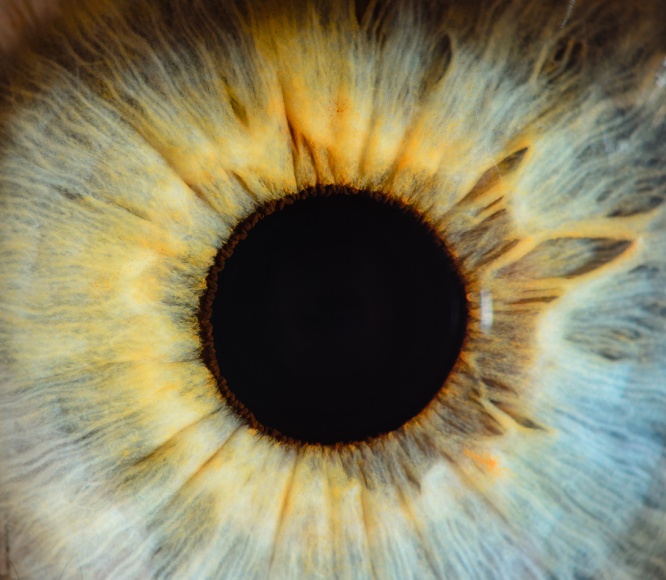 Hoe Search Generative Experience jouw zoekopdrachten persoonlijker, efficiënter en gebruiksvriendelijker maakt.