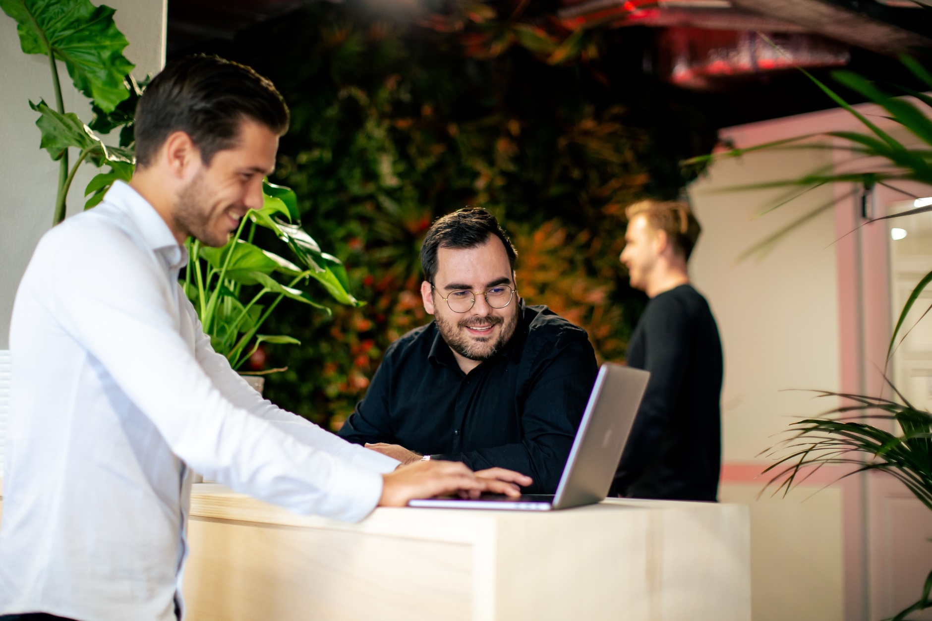 services---applicatiebeheer